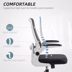 HOMCOM Mesh Desk Chair with Tilt Function, Lumbar Support, Black