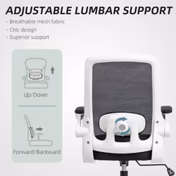 HOMCOM Mesh Desk Chair with Tilt Function, Lumbar Support, Black
