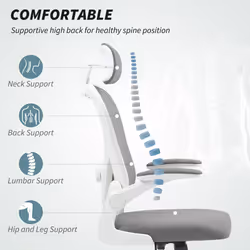 HOMCOM Ergonomic Mesh Office Chair with Headrest, Lumbar Support, Grey