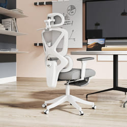 HOMCOM Executive Office Chair, Recliner Computer Chair with Footrest, Grey