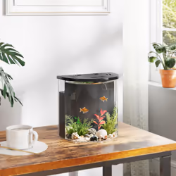 PawHut Fish Tank, 3L Nano Aquarium Starter Kit with Filter System, LED Light