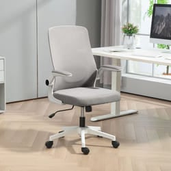 HOMCOM Mesh Desk Chair with Tilt Function, Lumbar Support, Grey