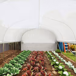 Outsunny Polytunnel Greenhouse W/ Roll-up Sidewalls, Mesh Door, 6 x 3 x 2m - Additional view 5