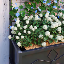 Outsunny Metal Raised Garden Bed Planter Box with Trellis, 90 x 40 x 120 cm - Additional view 8