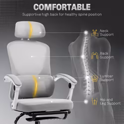 HOMCOM Mesh Ergonomic Office Chair with Lumbar Support, Headrest, Grey