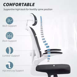 HOMCOM Ergonomic Mesh Office Chair with Headrest, Lumbar Support, Black