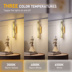 HOMCOM Led Wall Lamp 2 Pack, Modern Indoor Geometric Wall Light, Gold Tone