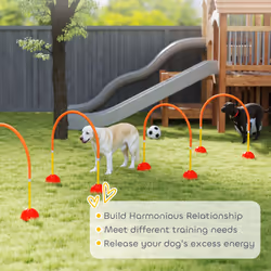 PawHut 4 Piece Dog Agility Training Equipment with Carry Bag, Orange - Additional view 4