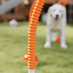PawHut 4 Piece Dog Agility Training Equipment with Carry Bag, Orange - Additional view 5