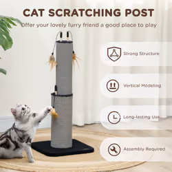 PawHut 78cm Tall Cat Scratching Post with 3 Toy Feathers, Black
