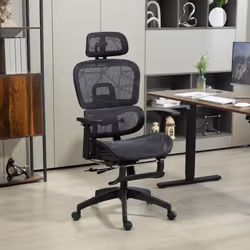 HOMCOM Ergonomic Office Chair Swivel Computer Chair with 3D Armrest Black