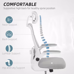 HOMCOM Executive Mesh Office Chair with Headrest, Lumbar Support, Grey