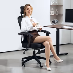 HOMCOM Mesh Ergonomic Office Chair with Lumbar Support, Headrest, Black