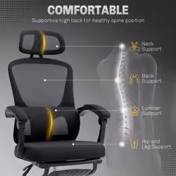 HOMCOM Mesh Ergonomic Office Chair with Lumbar Support, Headrest, Black