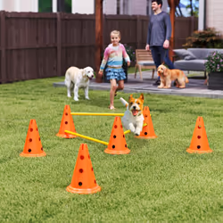 PawHut Dog Agility Equipment Set, Three-Piece Adjustable Height Jumping