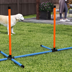 PawHut 6-Piece Dog Agility Equipment, Obstacle Training Course Kit, Orange - Additional view 8