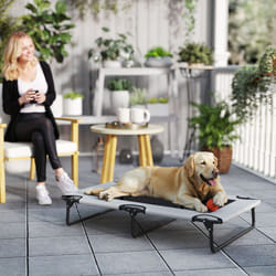 PawHut Raised Dog Bed with Breathable Mesh for Large Dogs - Grey