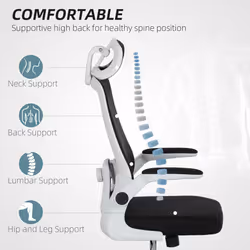 HOMCOM Executive Mesh Office Chair with Headrest, Lumbar Support, Black
