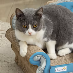 PawHut 2-in-1 Cardboard Cat Scratching Board with Catnip for Indoor Cats - Additional view 6