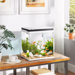 PawHut 14L Small Fish Tank with Filter System, LED Lights, Water Pump, White