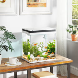 PawHut 14L Small Fish Tank with Filter System, LED Lights, Water Pump, White