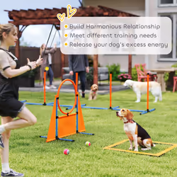 PawHut Seven-Piece Dog Agility Equipment, Obstacle Training Course Kit - Additional view 5