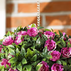 HOMCOM Set of 2 Artificial Plant Topiary Rose Balls, Faux Plants, Purple - Additional view 7