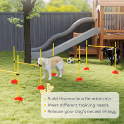 PawHut 4 Piece Dog Agility Equipment with 4 Hurdle Bar for Jump Training - Additional view 5