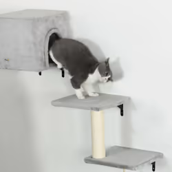 PawHut 6-Piece Cat Wall Shelves Set, Cat Wall Furniture with Condo, Grey - Additional view 8