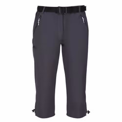 Regatta Womens/Ladies Xert Stretch Casual Shorts - 18 UK, Seal Grey