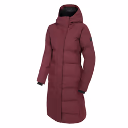 Dare 2B Womens/Ladies Wander Padded Jacket - 8 UK, Fig