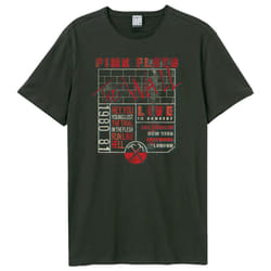 Amplified Unisex Adult The Wall Poster Pink Floyd T-Shirt