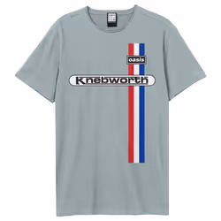Amplified Unisex Adult Knebworth Oasis T-Shirt - XS, Strange Blue