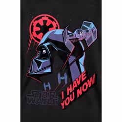 Star Wars Unisex Adult I Have You Now Sweatshirt - M, Black