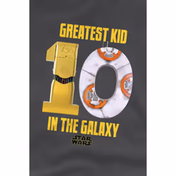Star Wars Childrens/Kids Greatest Kid C3PO BB-8 T-Shirt - 5-6 Years, Charcoal