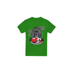 Star Wars Mens Arrrrgh! Socks Again! Chewbacca Christmas T-Shirt - L, Kelly Green