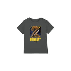 Star Wars Childrens/Kids Chewbacca Space 2nd Birthday T-Shirt - 3-4 Years, Charcoal