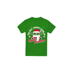 Star Wars: The Mandalorian Mens Grogu Snowflake T-Shirt - XXL, Kelly Green