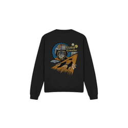 Star Wars Unisex Adult Mos Espa Anakin Skywalker Sweatshirt - L, Black