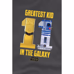 Star Wars Childrens/Kids Greatest Kid C3PO R2-D2 T-Shirt - 5-6 Years, Charcoal