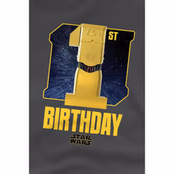 Star Wars Childrens/Kids C3PO Space 1st Birthday T-Shirt - 12-13 Years, Charcoal