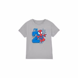Spider-Man Childrens/Kids Cute Spidey 2nd Birthday T-Shirt - 12-13 Years, Sport Heather