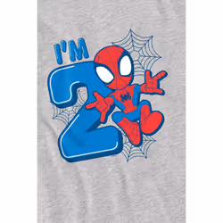 Spider-Man Childrens/Kids Cute Spidey 2nd Birthday T-Shirt - 12-13 Years, Sport Heather