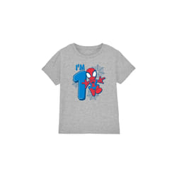 Spider-Man Childrens/Kids Cute Spidey 1st Birthday T-Shirt - 7-8 Years, Sport Heather