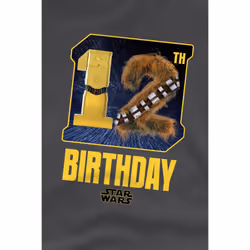 Star Wars Childrens/Kids C3PO Chewbacca Space 12th Birthday T-Shirt - 12-13 Years, Charcoal