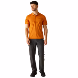 Regatta Mens Maverick V Active Polo Shirt - S, Fox/Ash