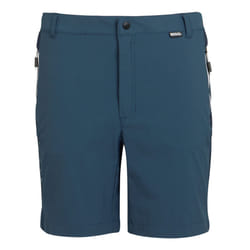 Regatta Mens Mountain II Shorts - 44R, Moonlight Denim/Navy
