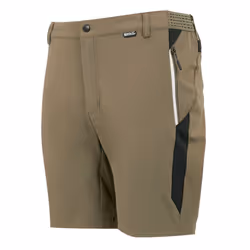Regatta Mens Mountain II Shorts - 40R, Treetop/Black