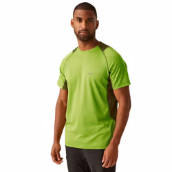 Regatta Mens Virda IV T-Shirt - S, Grenoble Green/Nephrite Green