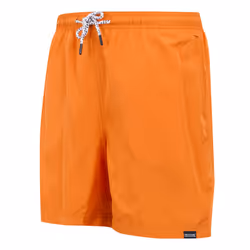 Regatta Mens Mackleyna Swim Shorts - L, Fox